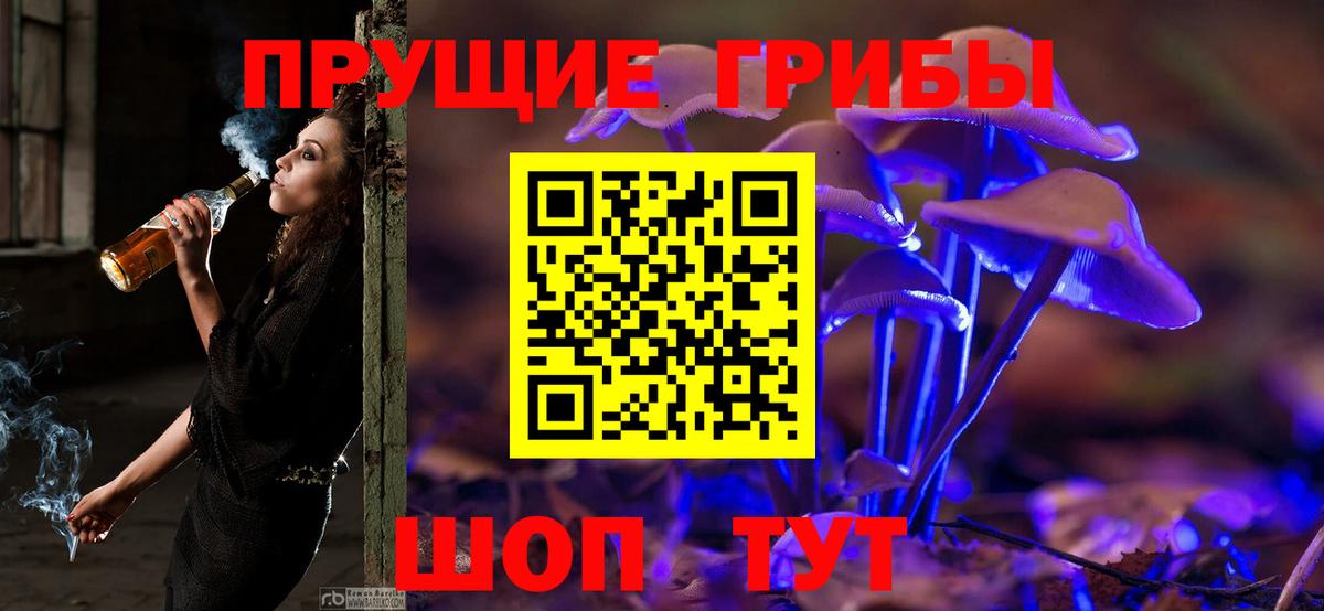 Мытищи  Псилоцибиновые грибы мухоморы  Вход с VPN 